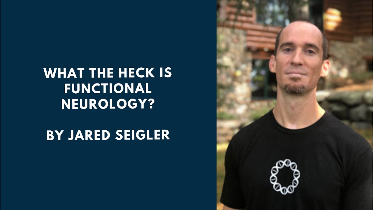 What the heck is Functional Neurology? - YouTube