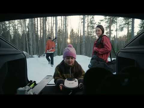 go-e Charger Gemini flex - Simply Arrive #goe