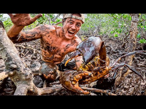 Risking My Fingers For Giant MUDCRABS Catch n Cook
