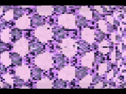 Breeder - Sputnik (New York FM Mix)