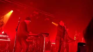 She wants Revenge - Suck it Up