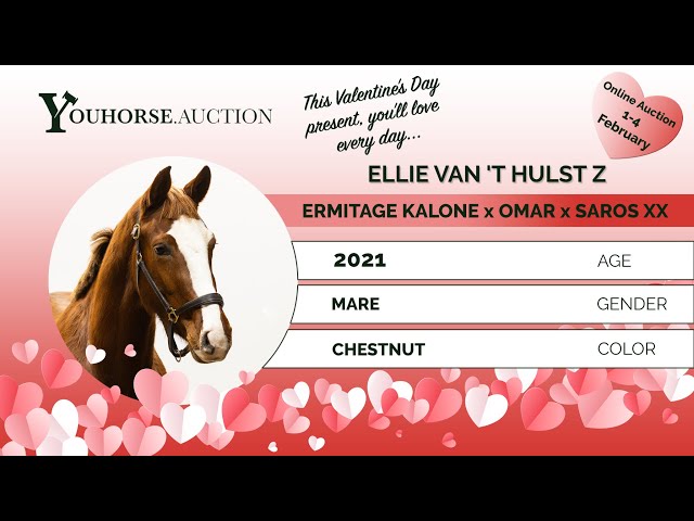 Ellie van 't Hulst Z