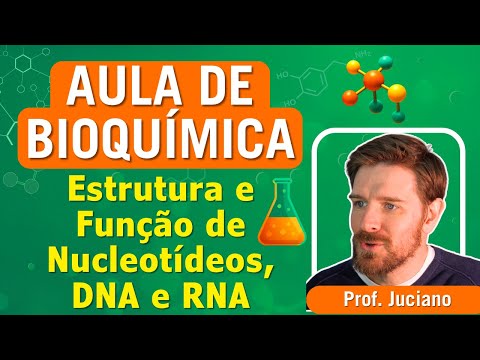 Structure and Function of Nucleotides and Nucleic Acids (DNA and RNA) - CLASS FOR HIGHER EDUCATION