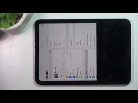 How to Change Language on APPLE iPad mini (2024)