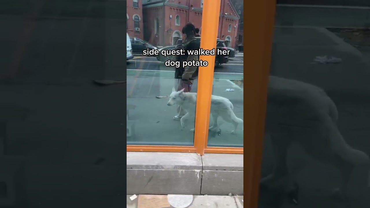 day 1 of being a tattoo apprentice