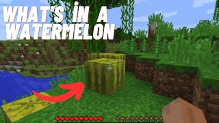 what's inside a watermelon in minecraft