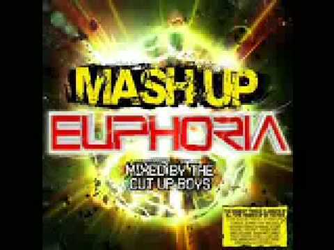 Mash Up Euphoria 2009 Mixed By The Cut Up Boys