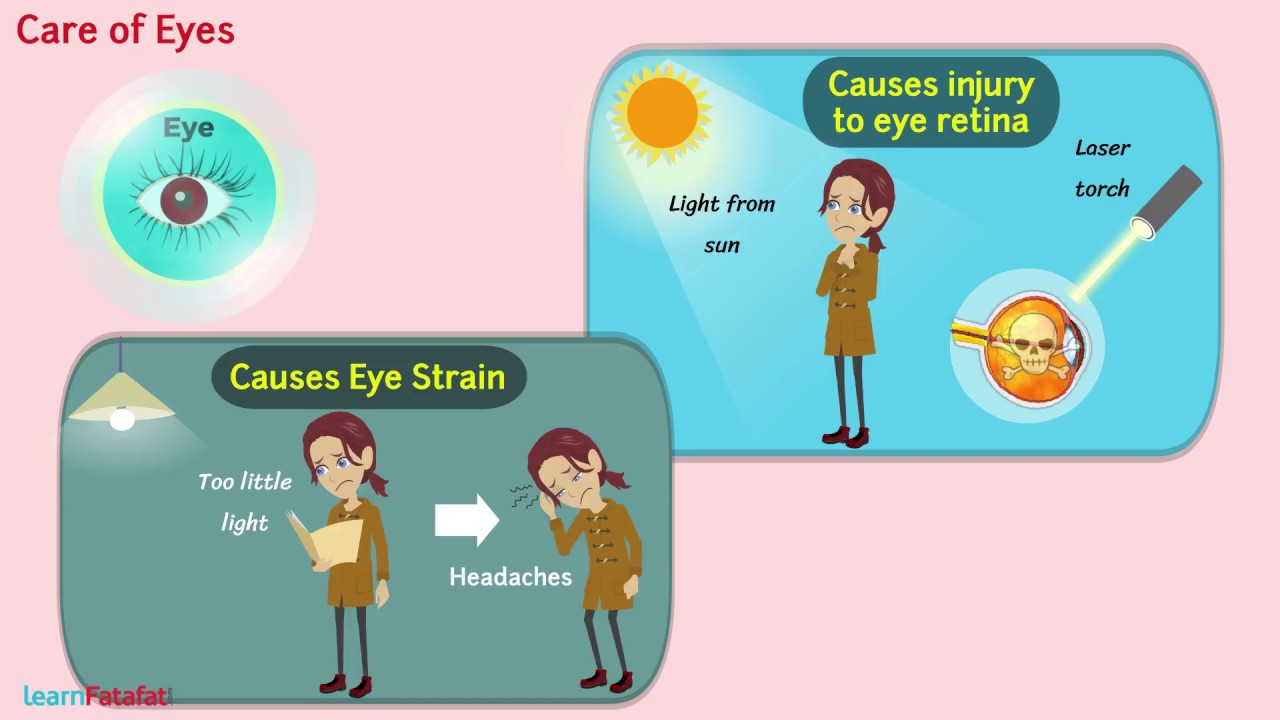 Chapter 16 Light Class 8 Science - Care of Eyes
