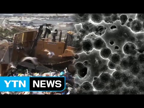 英 연구팀, 플라스틱 먹는 효소 발견..."환경오염 획기적 해결 기대" / YTN