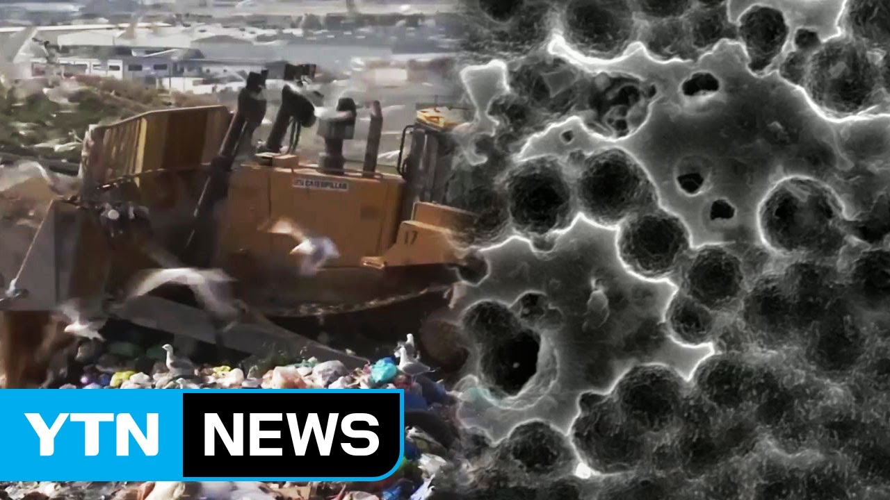 英 연구팀, 플라스틱 먹는 효소 발견..."환경오염 획기적 해결 기대" / YTN