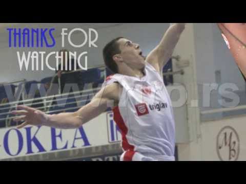 Nemanja Sladoje CV - Part I