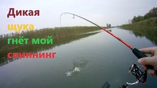 Ловля щуки северский донец
