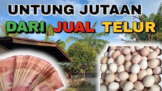 Download lagu MILLIONS IN TURNOVER JUST FROM SELLING FREE-COMING CHICKEN EGGS!!! mp3