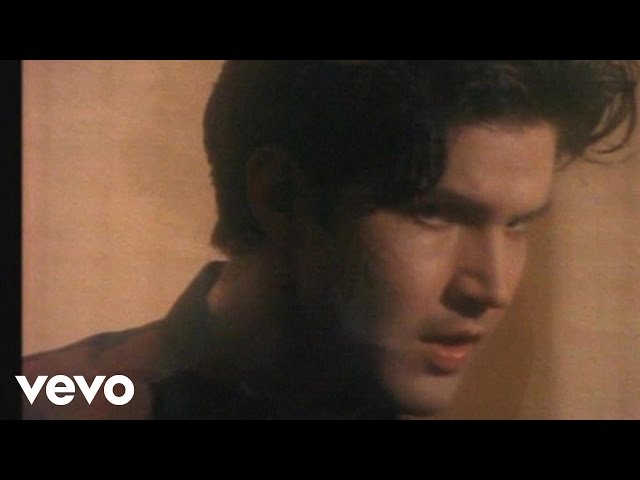 From The Hip - Lloyd Cole & The Commotions