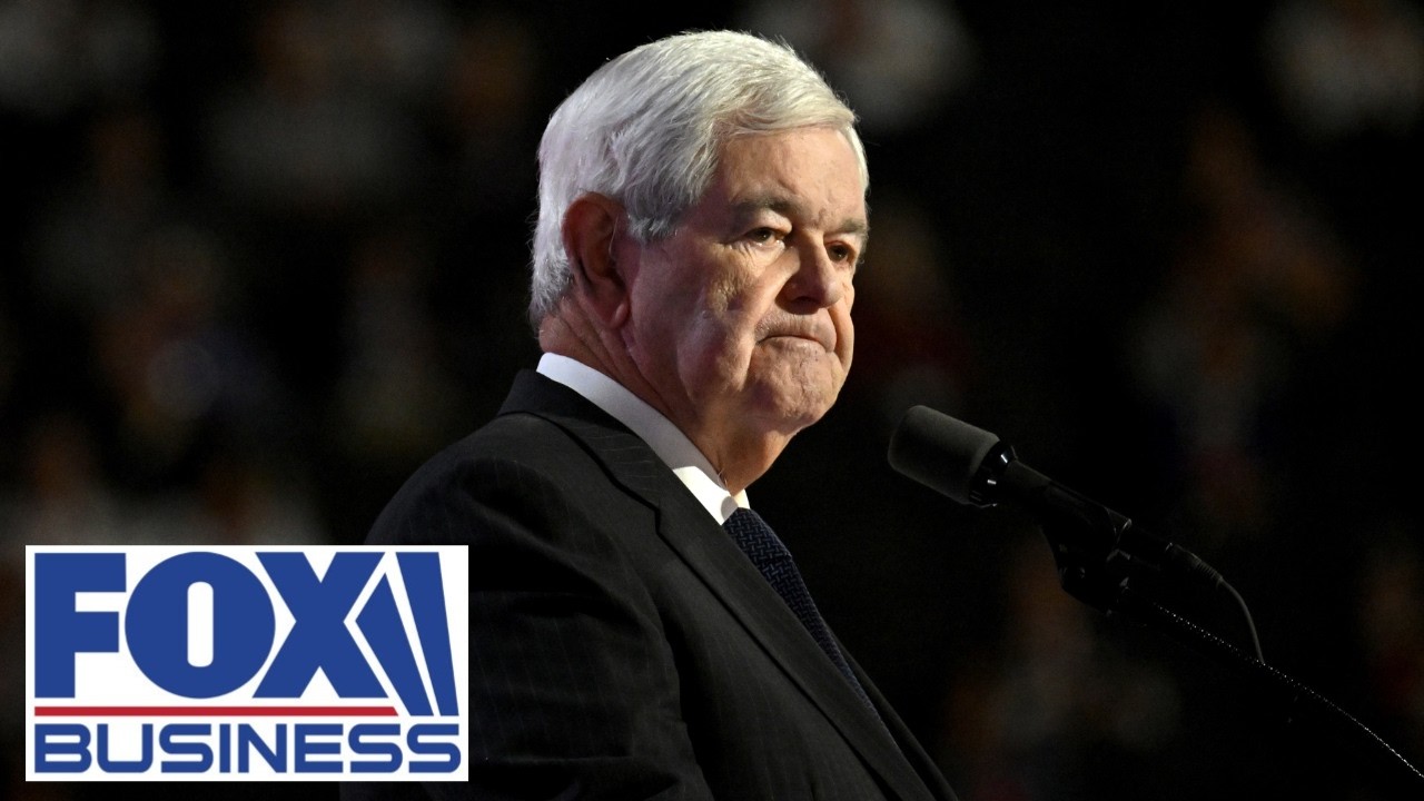 'VERY BIG CHOICE': Newt Gingrich frames the stakes of the midterms