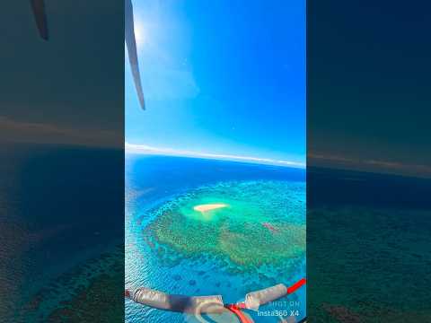 グレート バリア リーフ: 観光客は自然の驚異を保存する必要があります - 予約割引が含まれています