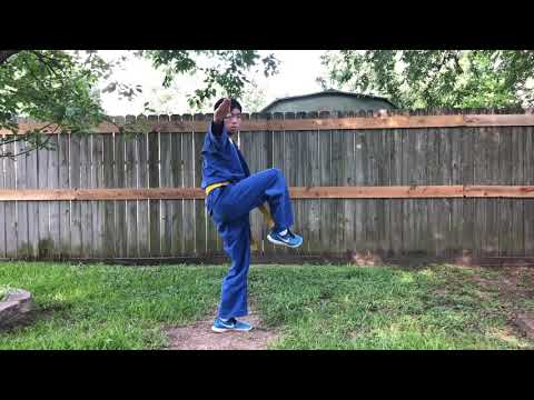 VoViNam Combination Techniques - Lesson 1: Combinations 1-3