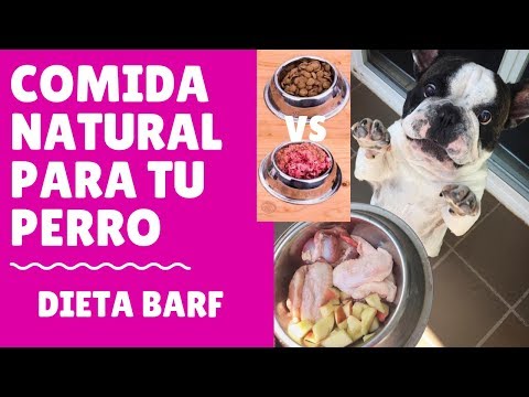Dieta low carb meniuri. Eșantion complet de meniuri low-carb