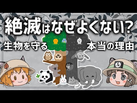 生物多様性の推進 自然と動物
