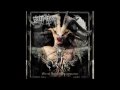 Belphegor Rise To Fall And Fall To Rise