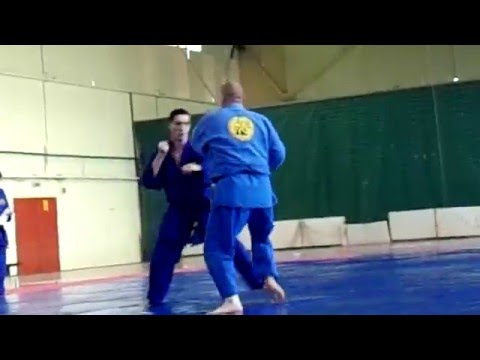 Real Aikido BG / Valeri Vasilev 5 DAN