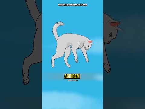 GATO PULANDO DE UM LUGAR ALTO 😱