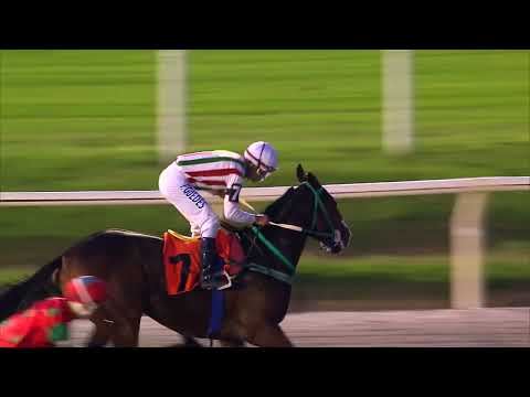 230514 c10  - APOFIS - HIPODROMO DE MARONAS