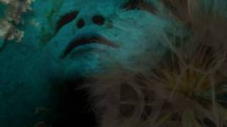 Dreamcatcher, Secret Garden