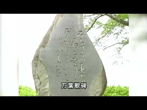 動画サムネイル