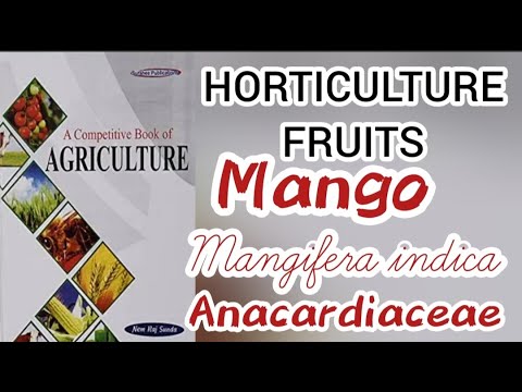 Mango - Mangifera indica | HORTICULTURE -NEMRAJ SUNDA | LECTURE MONDAY-Enjoy & Learn with Shalvi