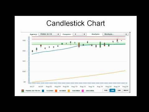 Daily Market Report August 26