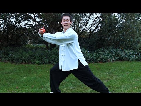 Tai Chi For Health and Well-being - 42 Tai Chi Combo 1