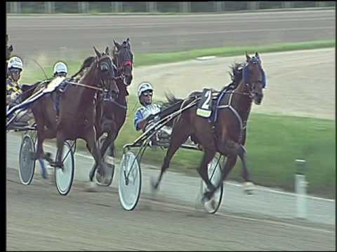 Trotto 22/06/2016 - 8° corsa