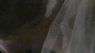 Ronald Reagan TV Ad: &quot;Its morning in america again&quot;