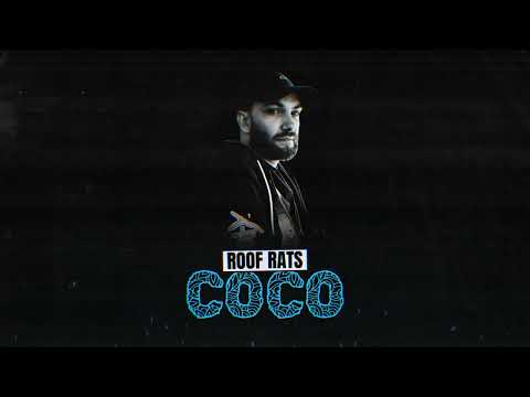 Roof Rats - COCO