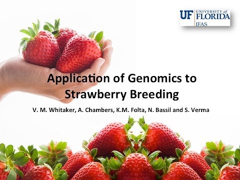 Application of Genomics to Strawberry Breeding