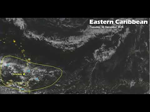 MTV NEWS TUESDAY 30TH  DECEMBER 2025