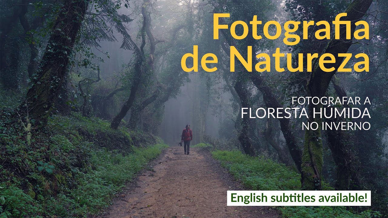 PHOTOGRAPHING THE RAINFOREST IN WINTER | WOODLAND PHOTOGRAPHY