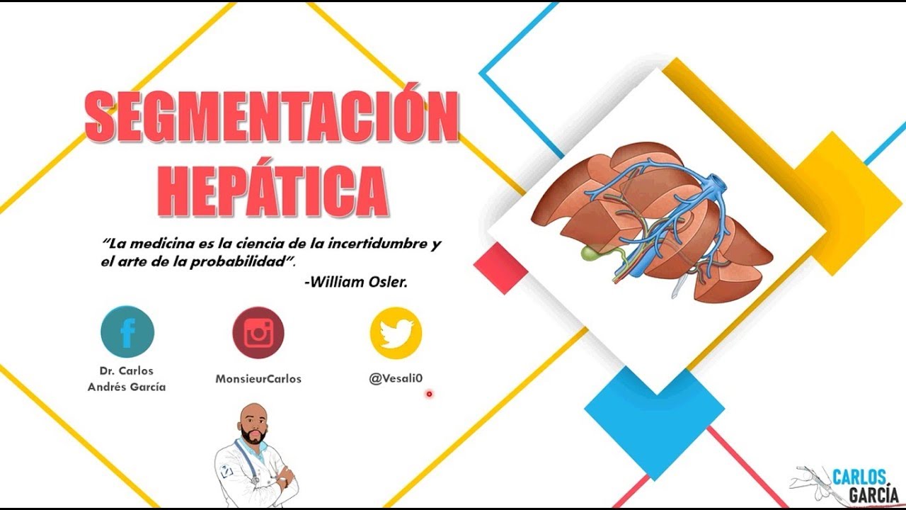 Anatomía - Segmentación Hepática (Lìnea de Cantlié y División Fisiológica del Hígado)
