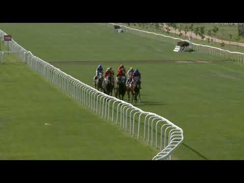 2021.08.15. 04. futam - NYERETLEN KÉTÉVESEK VERSENYE (IV.kat.)