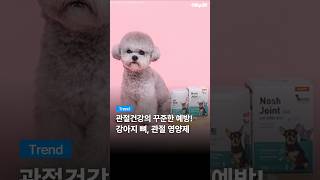 아이엔지메딕스 노쉬 조인트 에이드 120p (1개)_동영상_이미지