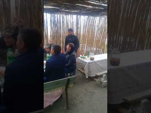 Kamavori erg. Mataxis