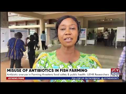 Antibiotic overuse in farming threatens food safety and public health – UENR Researchers