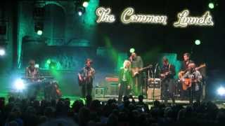 The common linnets - Better than that