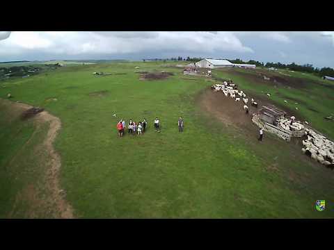 Filmare aeriană Poienile Oancei