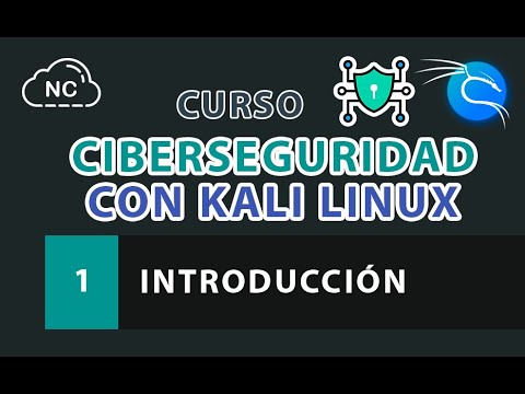 Curso de Ciberseguridad con Kali Linux Análisis de Endpoints de API