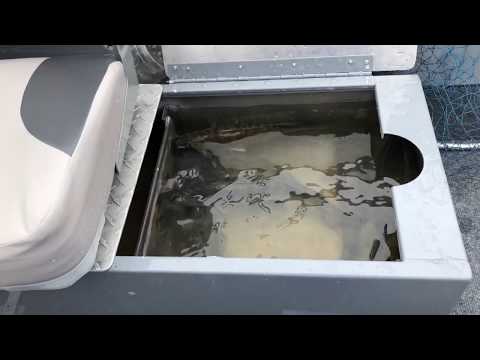 1 Pump Livewell Setup