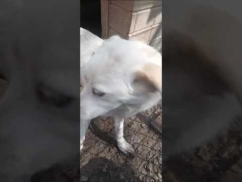 NADIRAH - März 2024