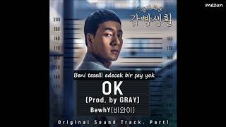 (Türkçe Altyazılı) Bewhy - OK prod. Gray [Prison Playbook OST 1]