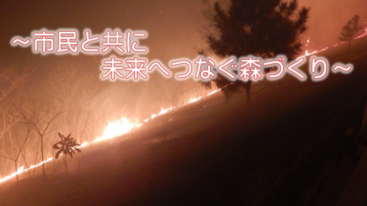 今治市林野火災復旧・復興ボランティア記念植樹～市民と共に未来へつなぐ森づくり～
